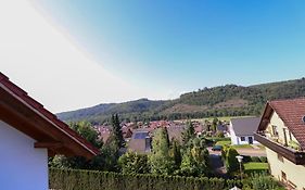 Naturzauber im Harz